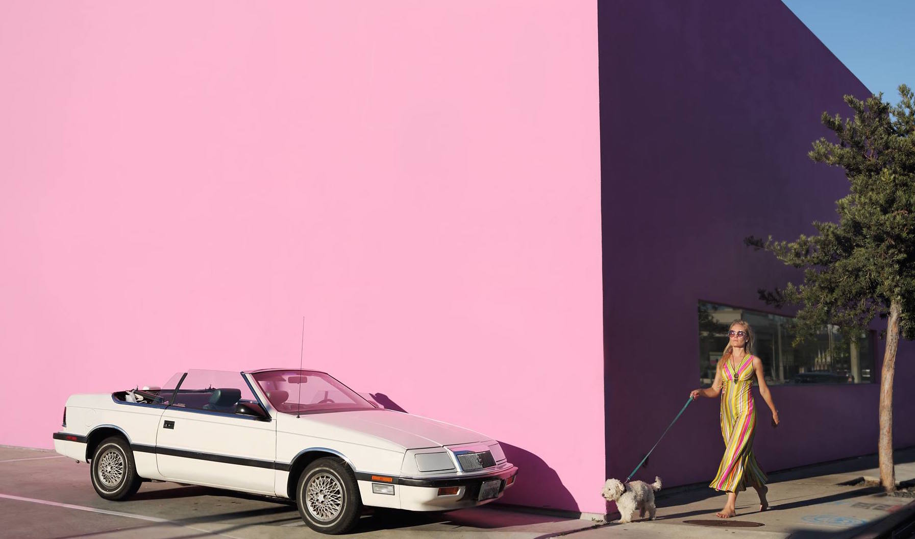 Los Angeles street scene — pink and purple wall